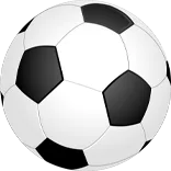 FIFA世界杯